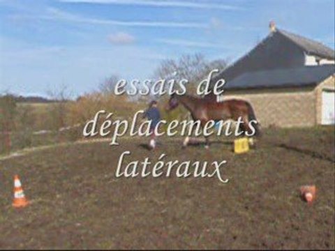 Iago 5 mars séance etho