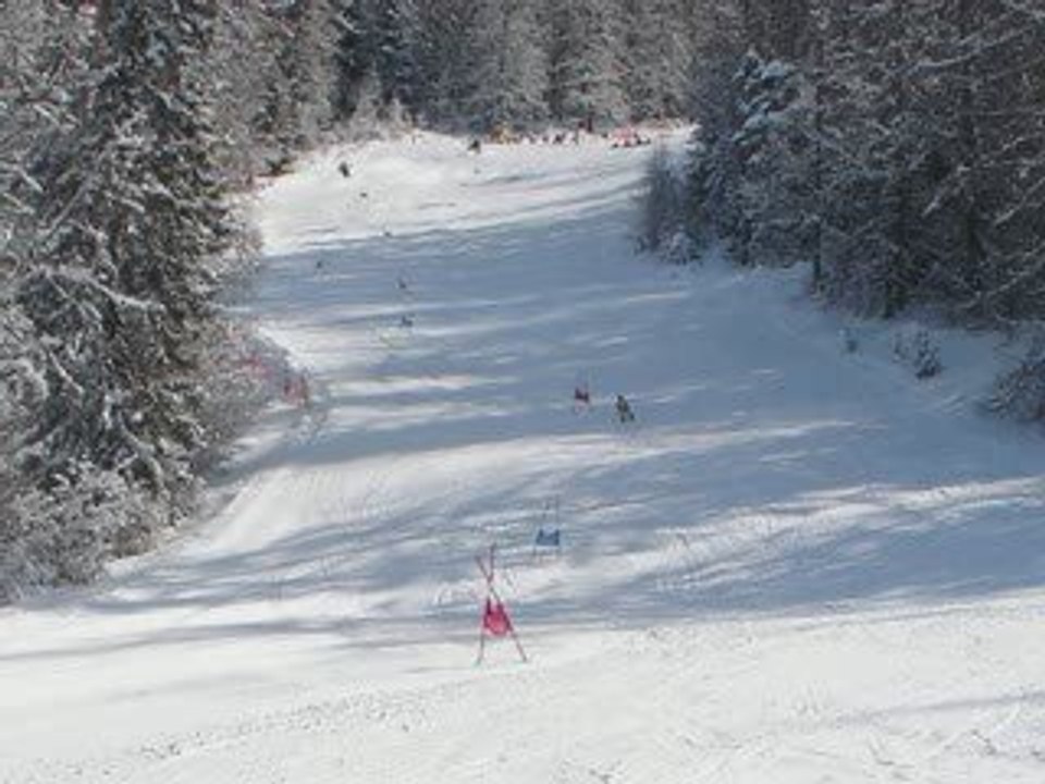 roro fleche ski