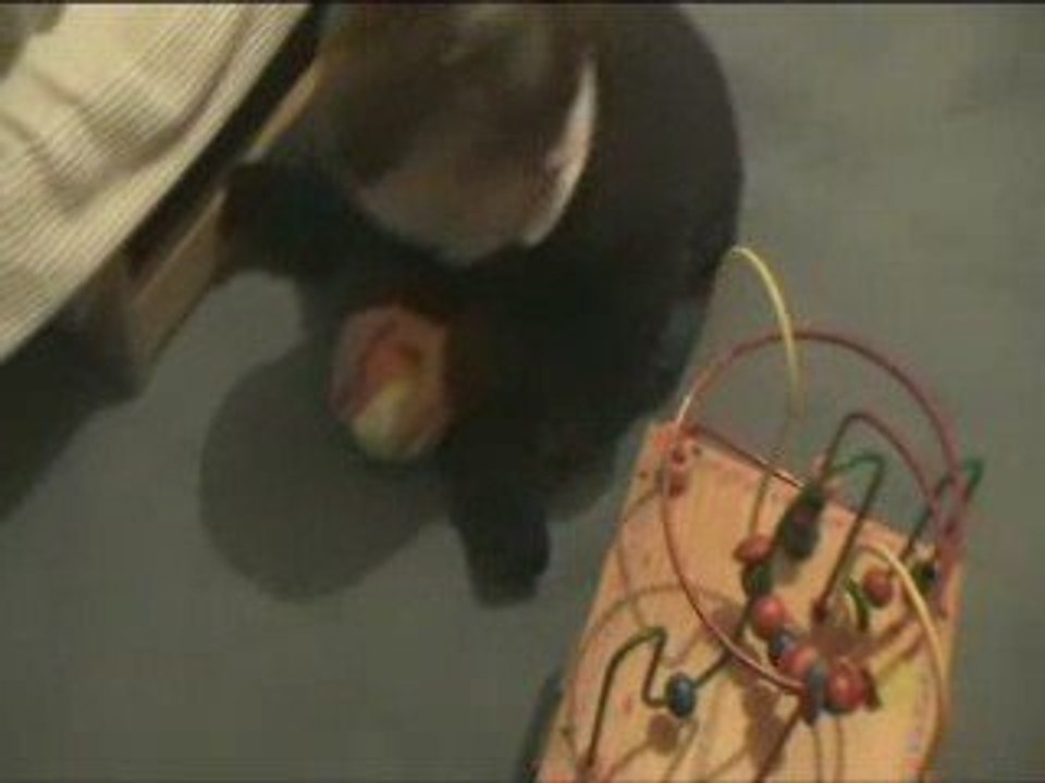 MOV044.MOD
