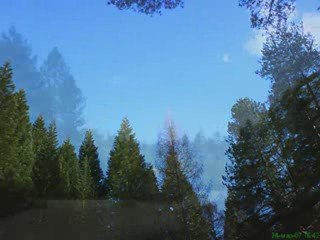 Среща - Щурците