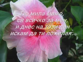 За теб МАМО