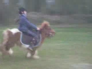 Pauline et Ardi Moi et Pauly