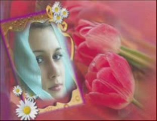 هانى شاكر ياريتك معايا