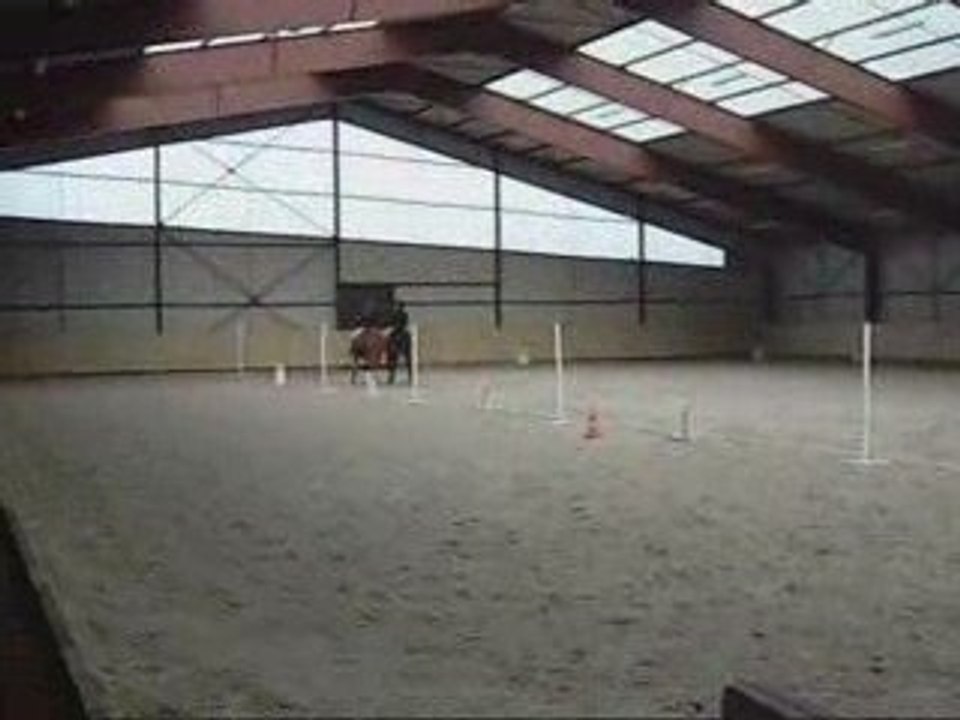 Vidéodressage