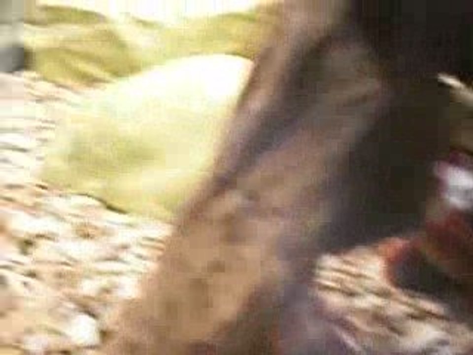 mon serpent qui passe a table