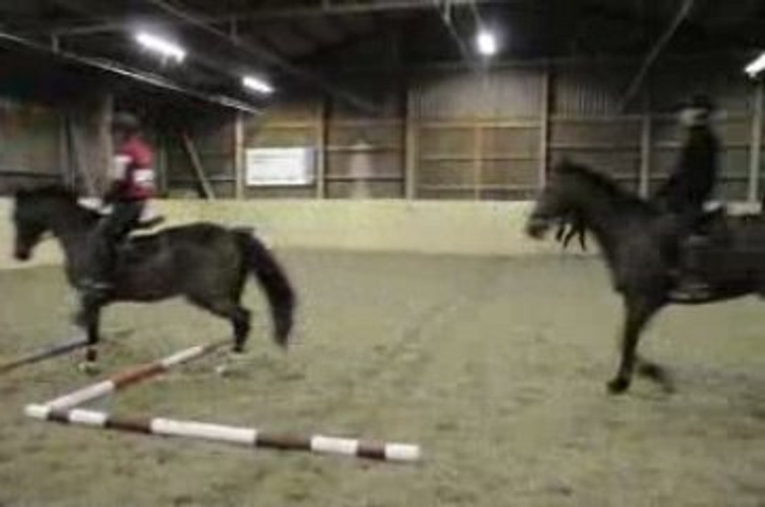 Stangenstunde Safnern