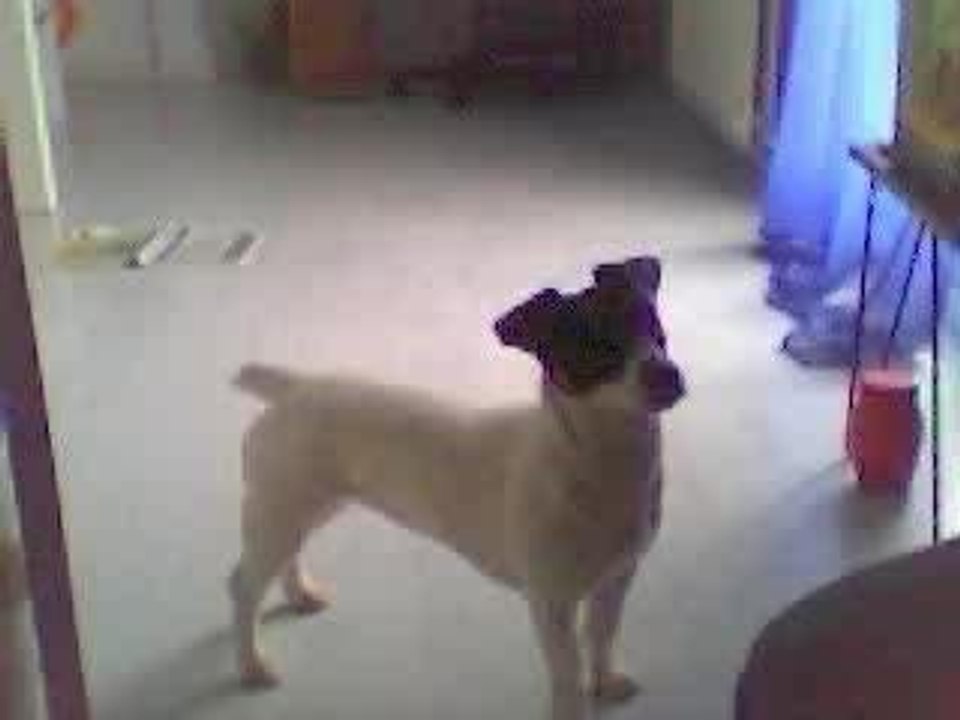 abby