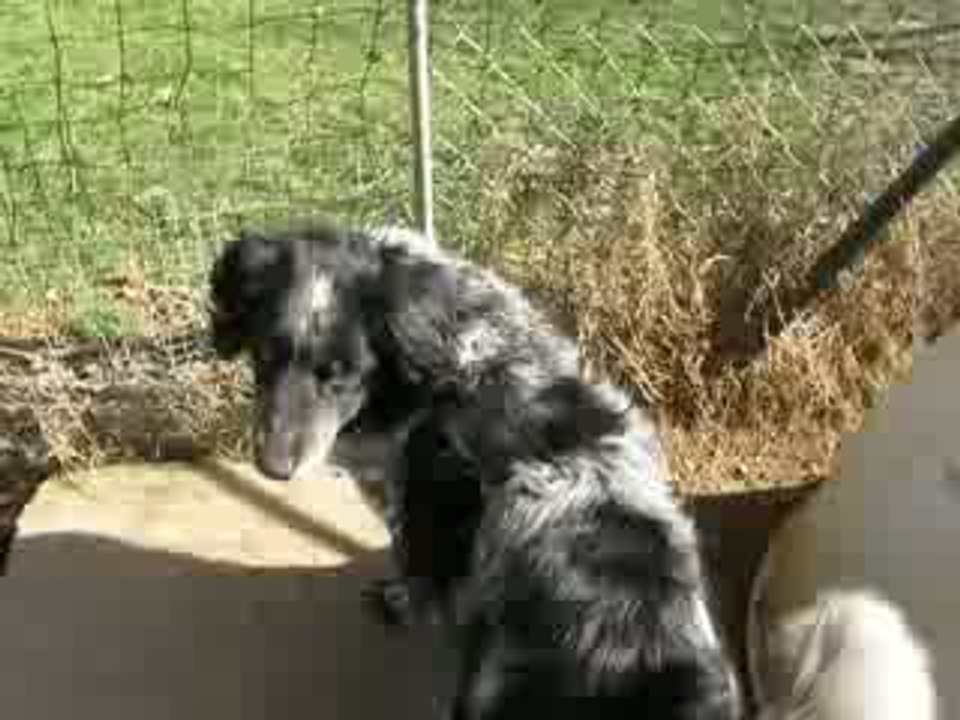 Max