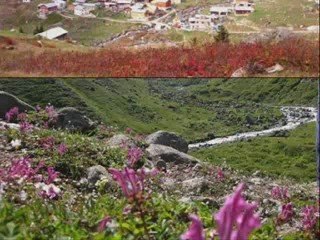 Elevit-oy elevit -birol topaloğlu-kavrun.tr.gg