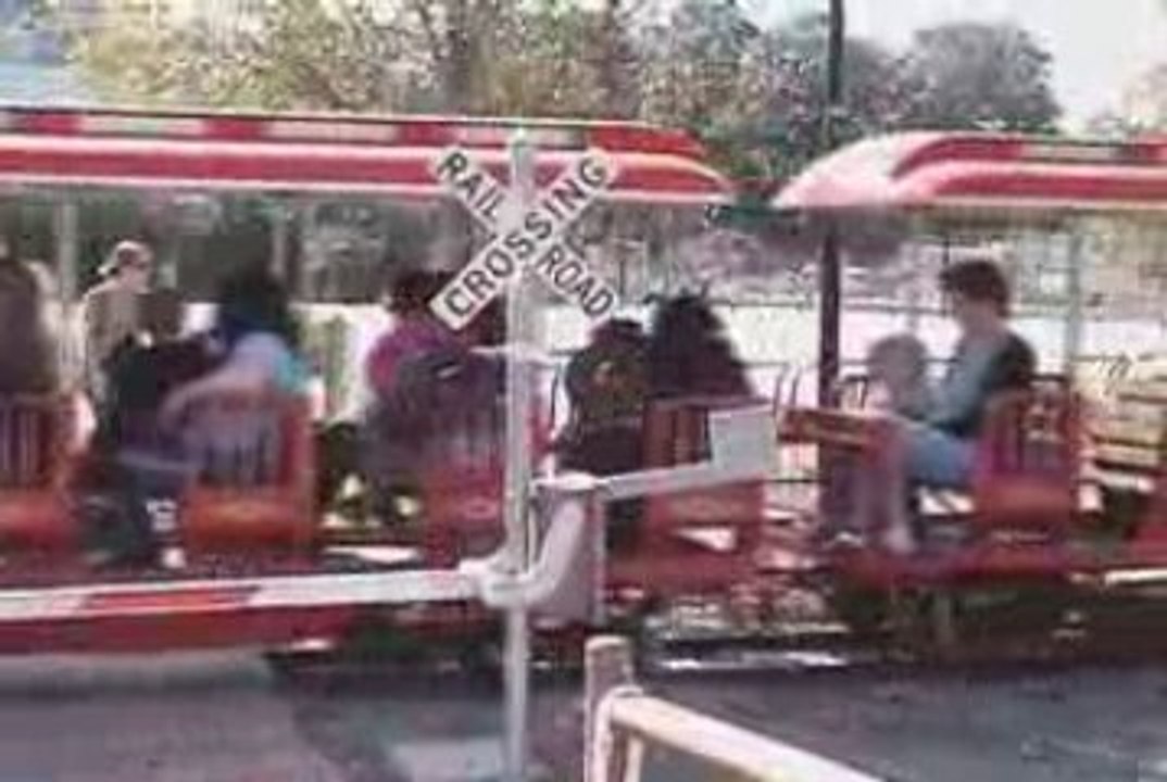 Norfolk Zoo Train
