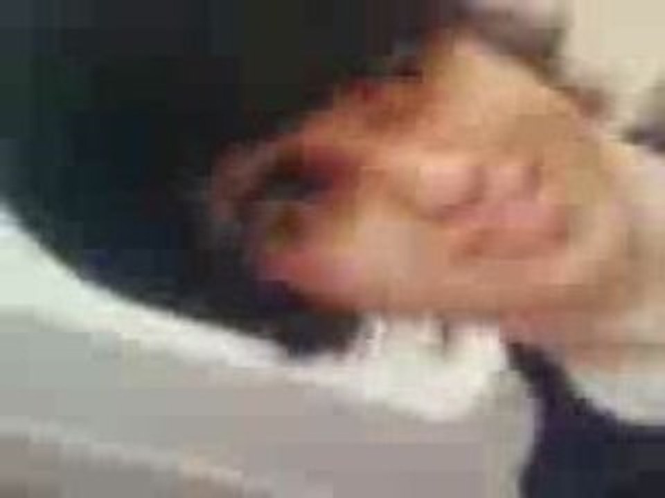 Ostro the boss