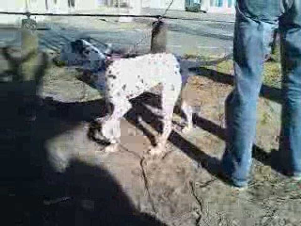 petite balade au parc =D