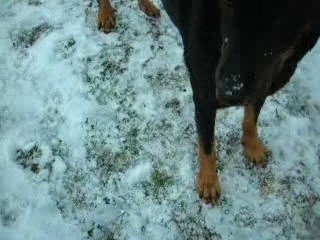 comment le nourrissage se fait...