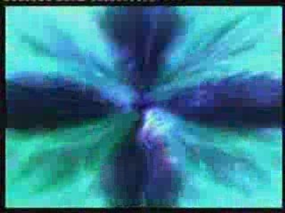 Festival Robles - Here come the hot choux fleur