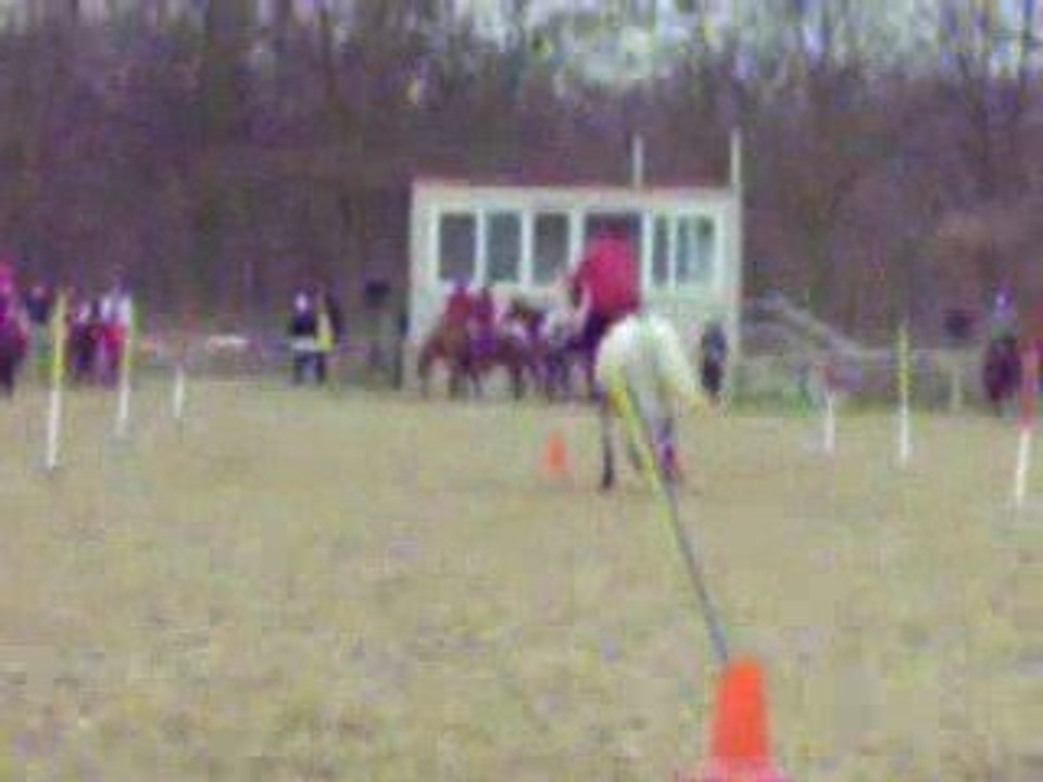 Moi et Mon pouney a Vincennes || 5 drapeaux