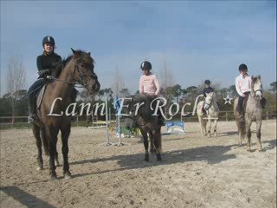 Lann Er Roch 28.02.09 (2)