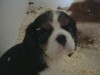 Emmy Award Recognition 🏆