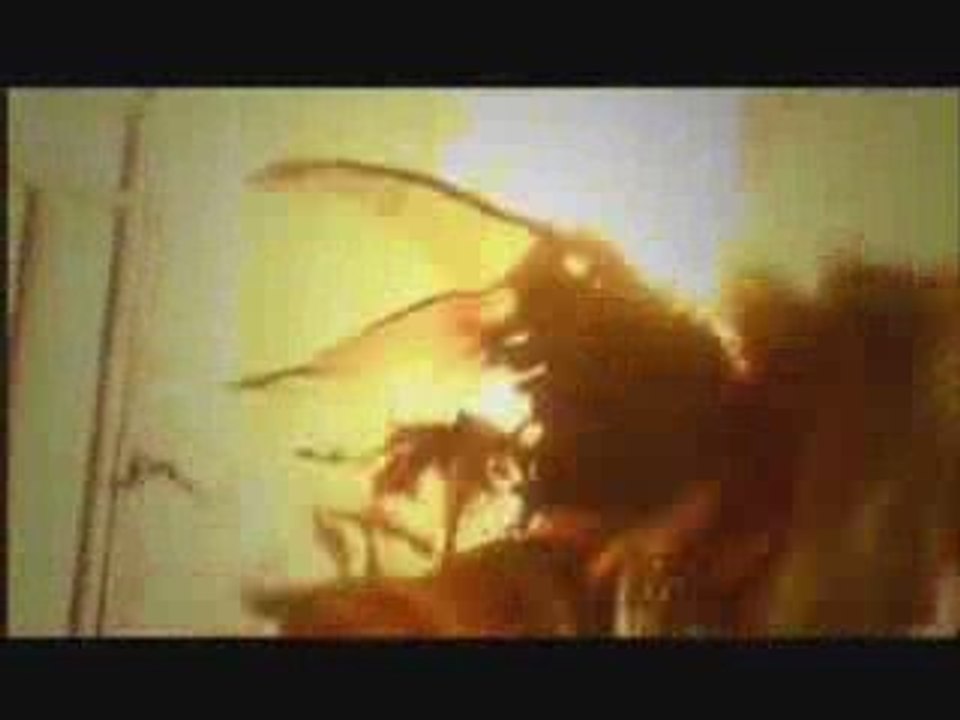 Dio ~ Distraught Overlord ~ - Garasu No Umi