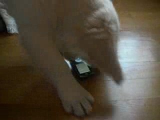 Diablo et mon téléphone portable 2