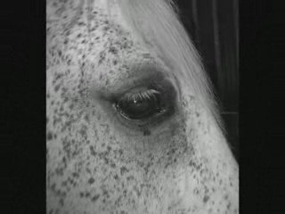 Ealing part en retraite après une carrière en concours