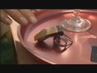 LiveLeak-dot-com-166387-sharkie