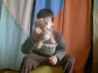 parodie de chat minou