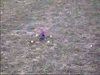 INDOOR BETHONCOURT (outdoor SAINTE-SUZANNE)