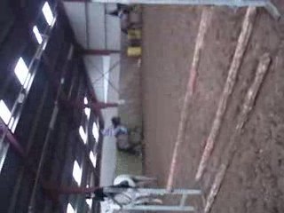 Marie-alice et léane mini vidéo (40cm)