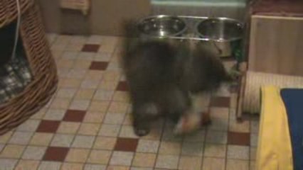 Démie et ses jouets