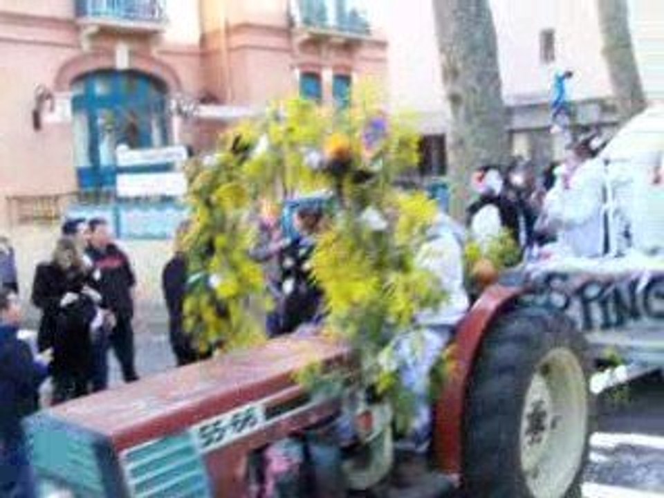 carnaval de ceret  2009