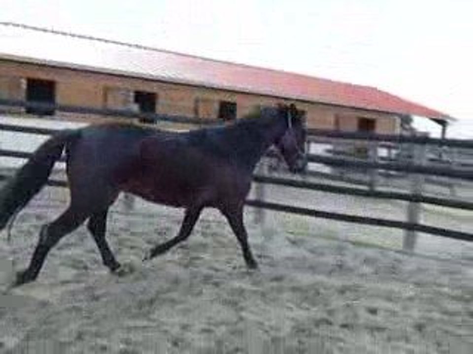 Quiator travaille ds le rond 2