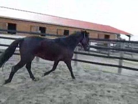 Quiator travaille ds le rond 2