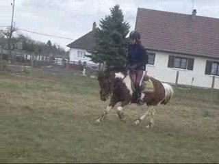 7-03-09 Dressage ( Galop )