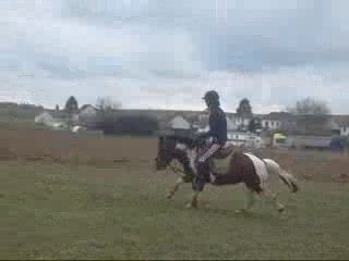 7-03-09 Dressage (Galop) Part 2