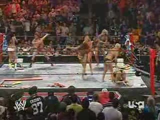 WWE RAW 28 Mai 2007 Bikini Bash Battle Royal