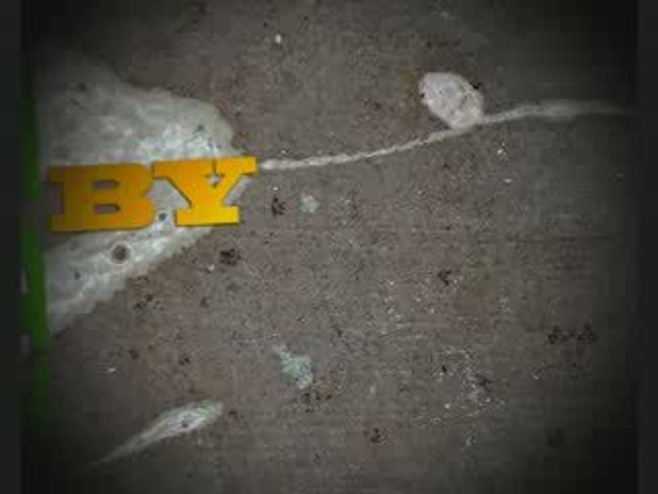 intro-by mpg-