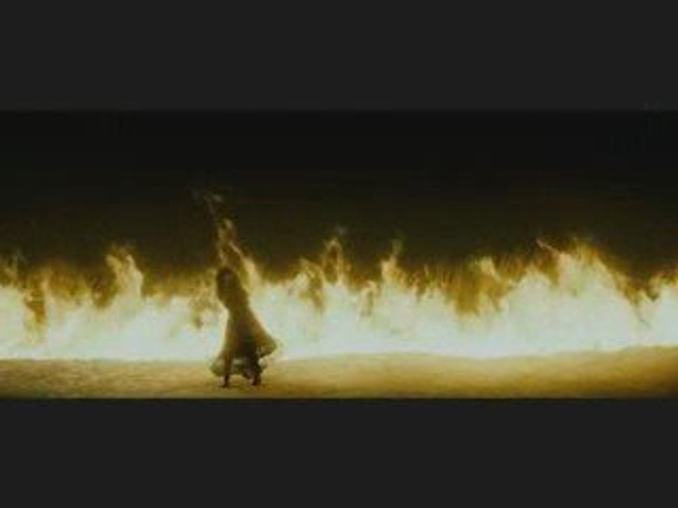 Harry Potter et le Prince de Sang-Mêlé VOST FRANCAIS