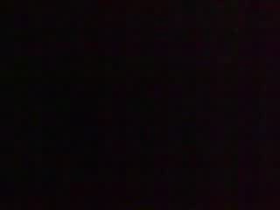 Rai Nb Fever Concert Bercy