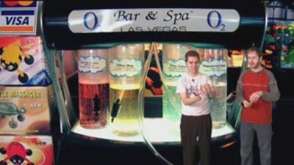 The Brew Review - iPhone Video Recording Apps