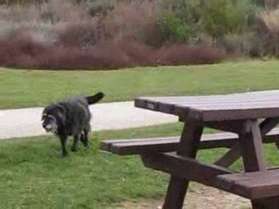 Lallie et le vélo, 2 mars 2009