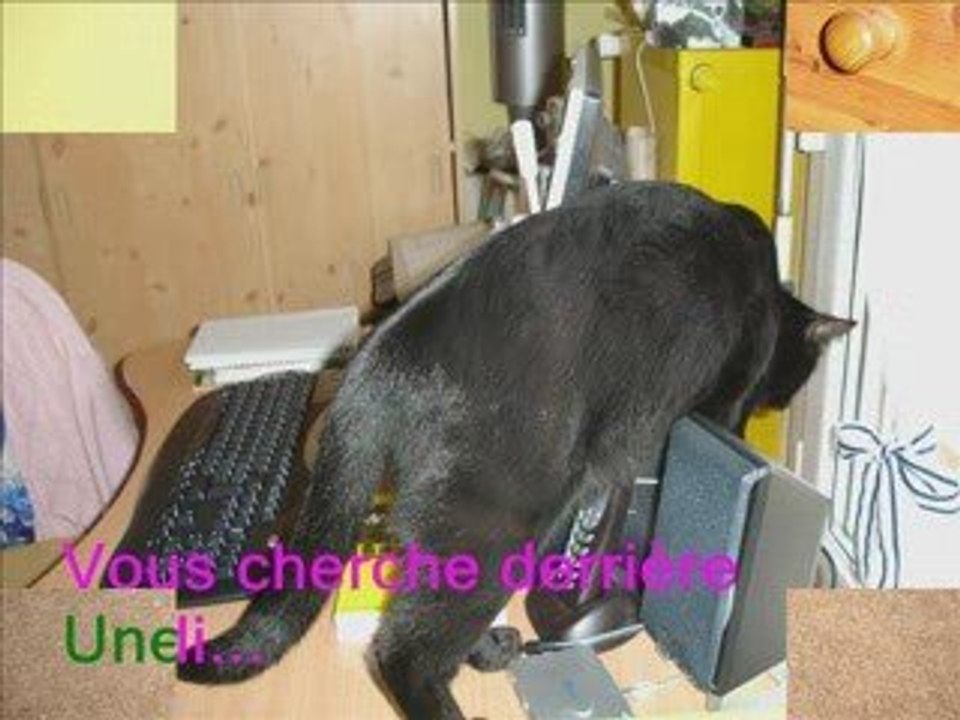 Frimou