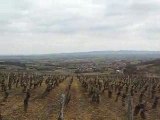 Les  Balades Vertes en Bourgogne du Sud - Culles-les-Roches