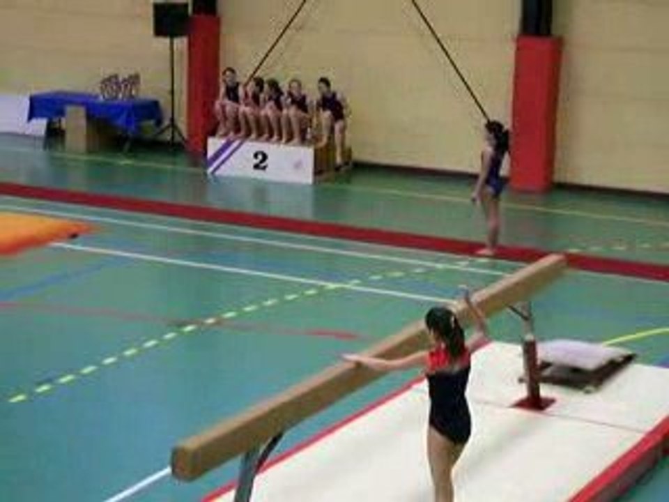 gym poutre