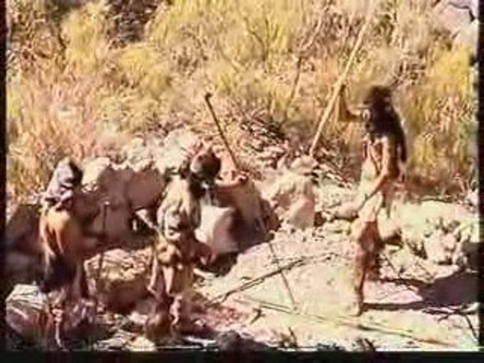 VIDA GUANCHE 1