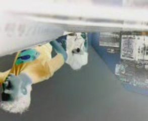 tong et shodji - delire exploited