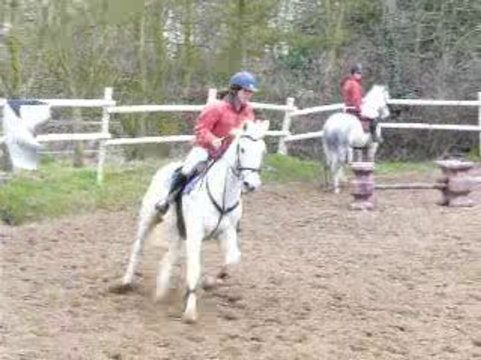 P1020320 agathe P concours sam am obstacles ches constance