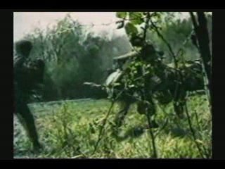 ARMEE et Mutilations Animales