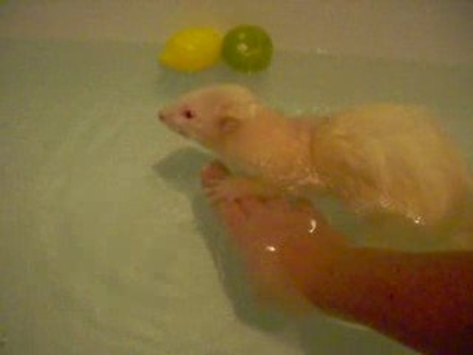 dans le bain