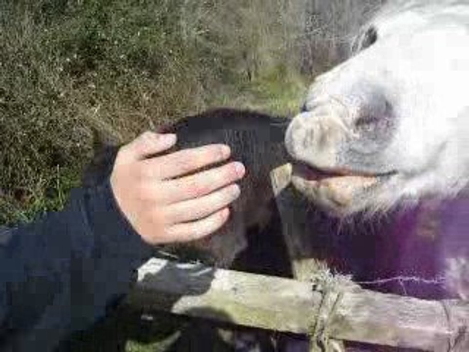 distribution de pain pour tous