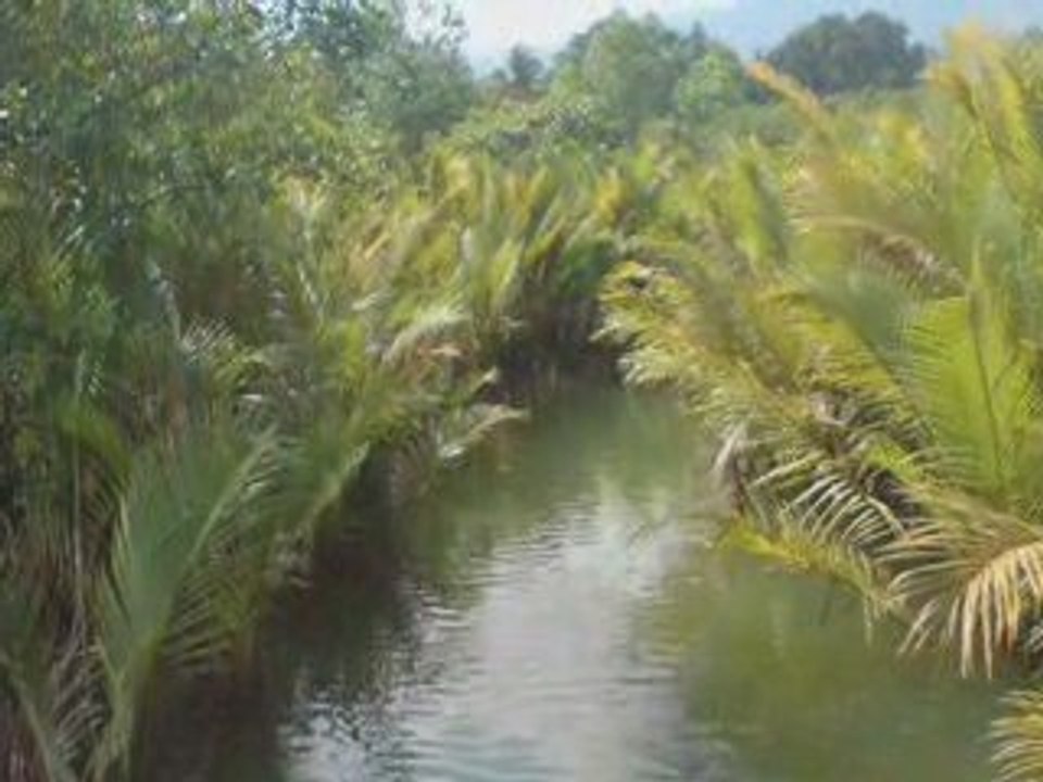 THAILAND KOH CHANG TEIL 1